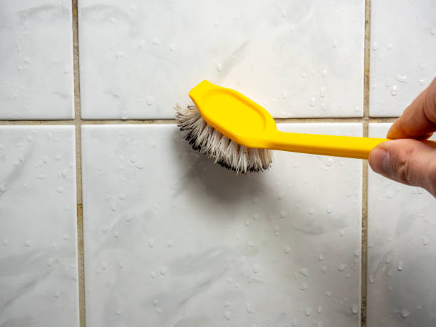 Best Commercial Mold Removal  in Mountain Park, GA