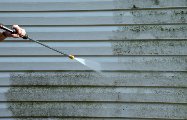 Best Professional Mold Removal  in Mountain Park, GA