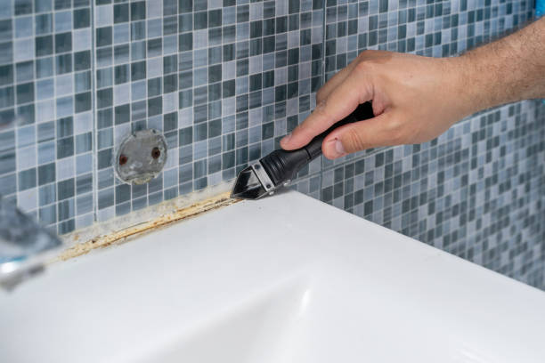 Best Black Mold Removal  in Mountain Park, GA