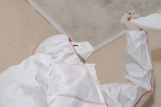 Best Crawl Space Mold Removal  in Mountain Park, GA