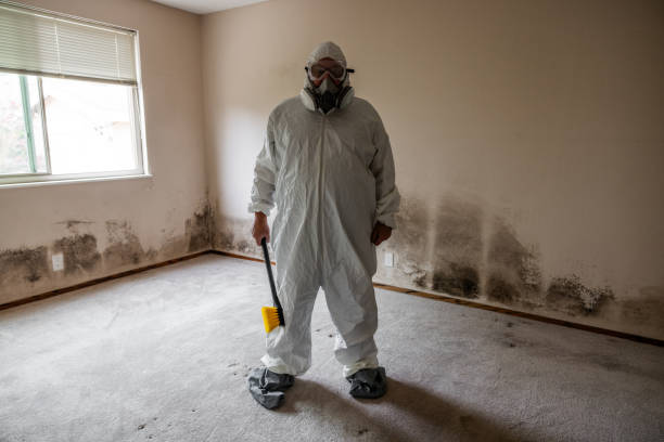 Best Attic Mold Removal  in Mountain Park, GA