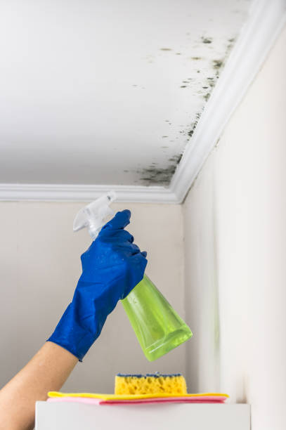 Mold Removal Process in Mountain Park, GA